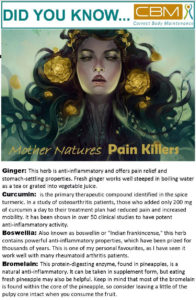 mother nature's Pain Killers