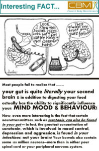 Your Gut is you second brain