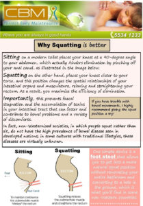 Why Squatting is better (2)