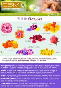 edible-flowers