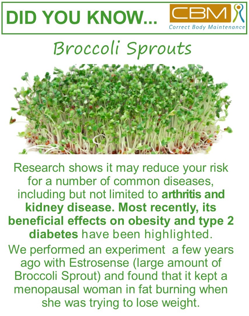 Broccoli Sprouts Correct Body Maintenance