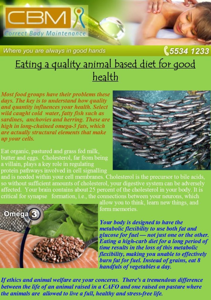 Eating a Quality Animal Based Diet | Correct Body Maintenance