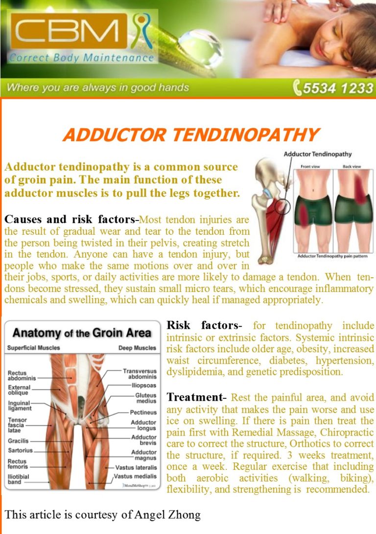 adductor-tendinopathy-correct-body-maintenance