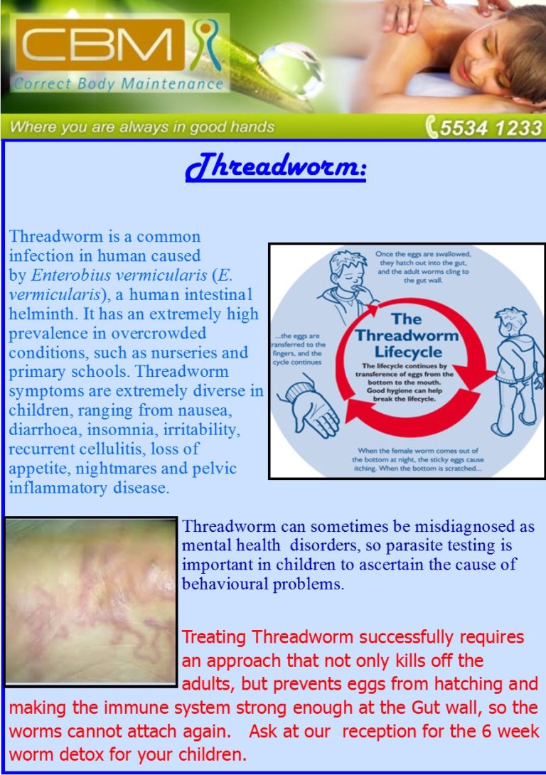 Threadworm Sheep Threadworm | Correct Body Maintenance