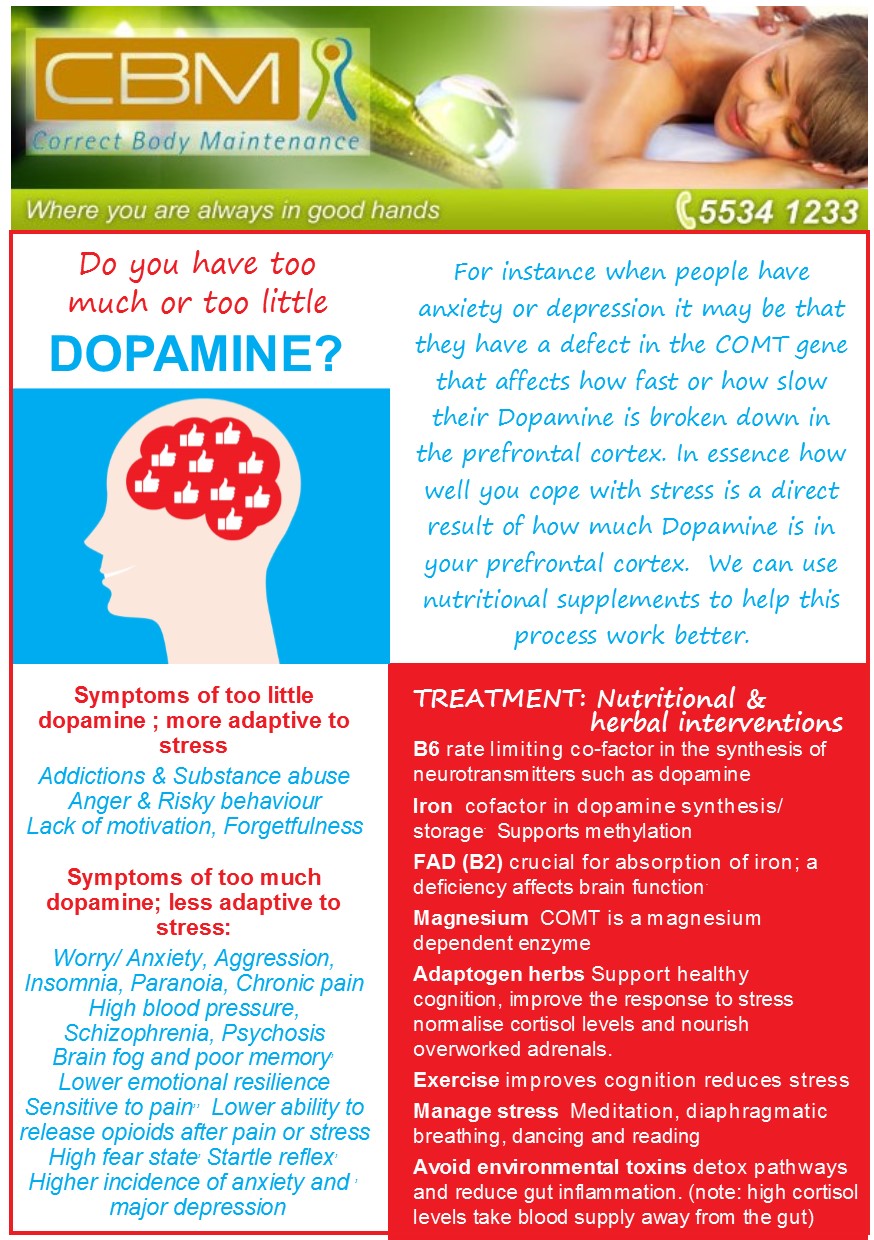 Dopamine Correct Body Maintenance